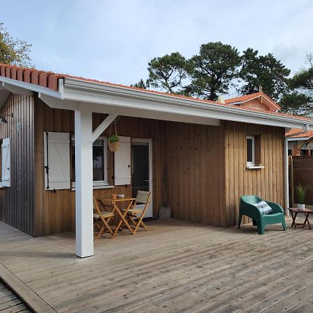 La Cabane De L'Estran Au Bord De Mer Lanton Eksteriør billede